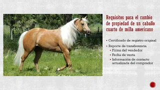Guia para el Reporte de Transferencia de la AQHA