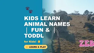 Animal Names for Kids | Learning & Fun | Educational Toddler Video