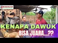 Download Lagu KENAPA LAGI VIRALL‼️‼️ KAMBING DAWUK APA JERABANG...??? ‼️‼️‼️