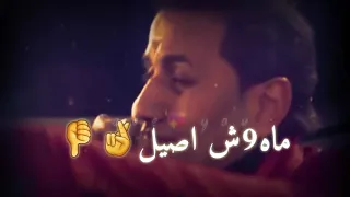اوعى تزعل لو عملت  فيوم  جميل    احمد شيبه     حالات واتس     دندنها