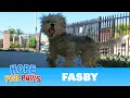 Fasby survives THREE coyote attacks - see his survival techniques at the end