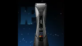                                               دندنها