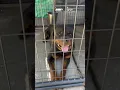 Meet Major