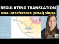 Download Lagu Regulating Translation: RNA interference (RNAi) by small interfering RNA (siRNA). A-level Biology