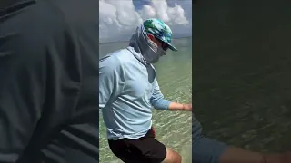 Matt Finds a JellyFish #shorts #sailingbyefelicia