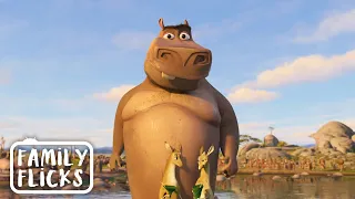 i think moto moto likes you madagascar escape 2 africa 2008 family flicks