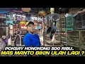 Lagu PRAMUKA MEMANAS ! POKSAY HONGKONG 500 RIBU PERKUTUT 7 EKOR CUMA 30 RIBU ADA PROMO BELI 1 GRATIS 1
