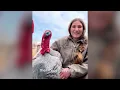 Clingy Turkey Gets Jealous When Lady’s Husband Comes Near | Cuddle Buddies