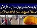 Download Lagu Cheel goasht ki Lahore me jaga jaga sale | cheel goasht wabal e jaan | 89 News HD