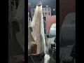 Download Lagu 1t/h wood pellet pressing machine/#woodpellet #biomasspelletmaking #pelletfuel #woodpelletmaking
