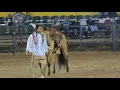 Mo Brings Plenty and Jay Begaye at the 2018 Navajo Nation Fair Part 2