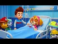 Download Lagu Don't Leave Us, SKYE ! | Paw Patrol Ultimate Rescue | Rainbow 3