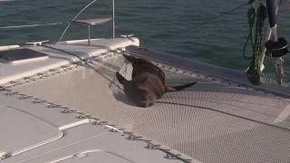 23 – Enjoying Nature in the Galapagos