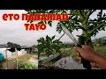Totoo na ata eto | Kailangan na talaga pag handaan ang bagyo, matinding pagsubok sa papaya