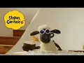Download Lagu 🐑Shaun, o Carneiro [Shaun the Sheep] Grande Shaun! 🐑 Hora Especial🐑| Cartoons Para Crianças