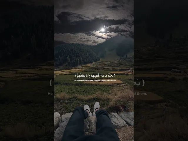 ⁣سورة البقرة (آية الكرسي) أرح سمعك وقلبك (#قرآن #الكريم #المصمم_جعفر_الحيدري