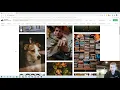 Introduction to Web Development - Chapter 11