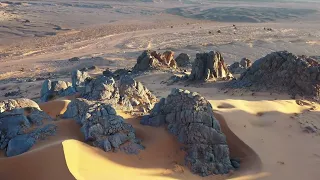 أغنية قارئة الفنجان على الايقاع الصحراوي 