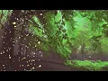 Turn Up The Bass vs. Don't Stop The Madness (VINAI Mashup)