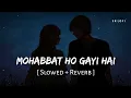 Lagu Mohabbat Ho Gayi Hai (Slowed + Reverb) | Sonu Nigam, Palak Muchhal | Border 2 | SR Lofi