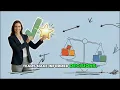 Module 1 Lesson 2 The Role of a Business Analyst