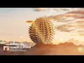 Diviners & Level 8 - Guide You Home [Monstercat Fanmade]