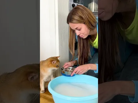 Adorable Cat Masterclass: Watch My Feline Show Off! 😹