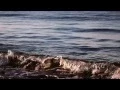 At the beach by The Avett Brothers