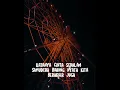 Download Lagu Muak (speed up version)