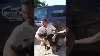 Reuniting with my dogs after 8 months! Full version just uploaded to YouTube!