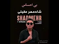Download Lagu Shadmehr Aghili - Bi Ehsas