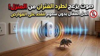 صوت يزعج لطرد الفئران من المنزل   الحل الفع ال بدون سموم للقضاء على القوارض والجرزان  دندنها