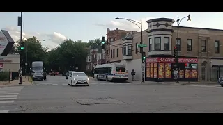 82 CTA bus 2024