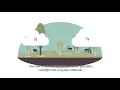 Download Lagu Het project Leegveld uitgelegd in een animatie