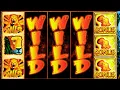 BIG WIN on Wild Life Slot IGT Free Spins Pay Huge