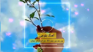 دانلود آهنگ بلوچی بور چمو دلگ چم کربان تی چمان  دانلود آهنگ بلوچی بور چمو دلگ چم کربان تی چمان