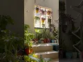 Download Lagu Top indoor plants for home 🏡 #ashortaday #trendingshorts