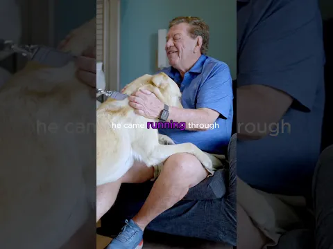 Had Me at Hello: The Life-Changing Bond Between Skip and His Guide Dog Regis