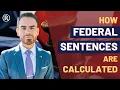 Federal Sentencing Table Explained Sentencing Guidelines Matrix and Offense Level Calculations