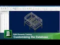 Customizing the Databases in RAM Elements