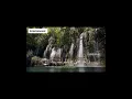 Download Lagu SALIM BAHANAN | SURAH AL-ADIYAT | BEAUTIFUL❣️ RECITATION |