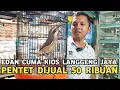 Lagu LANGGENG JAYA NIH BOS SENGGOL DONG || MURAH AMANAH PENTET MEWAH DIJUAL 50 RIBUAN 
