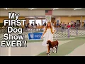 My FIRST AKC Dog Show Experience Ever I was SO NERVOUS Redbone Coonhound