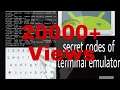 Terminal emulator secret commands