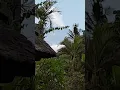 Download Lagu Vulkan Meditation Mount Gunung Agung Bali
