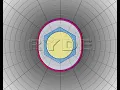RYDE IMAGING MICROENCODING SIGNAL CUES