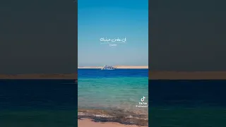 مصطفى قمر Mustafa Qamar عارف ليه انا لو عايز أعيش في الجنة انا بتمنى أعيش حواليك 