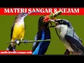 Lagu kombinasi | pijantung, tengkek udang dan jinjing petulak