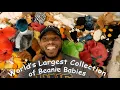 World s Largest Beanie Baby Collection