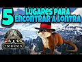 TOP 5 PLACES TO FIND OTTER IN ARK FJORDAN